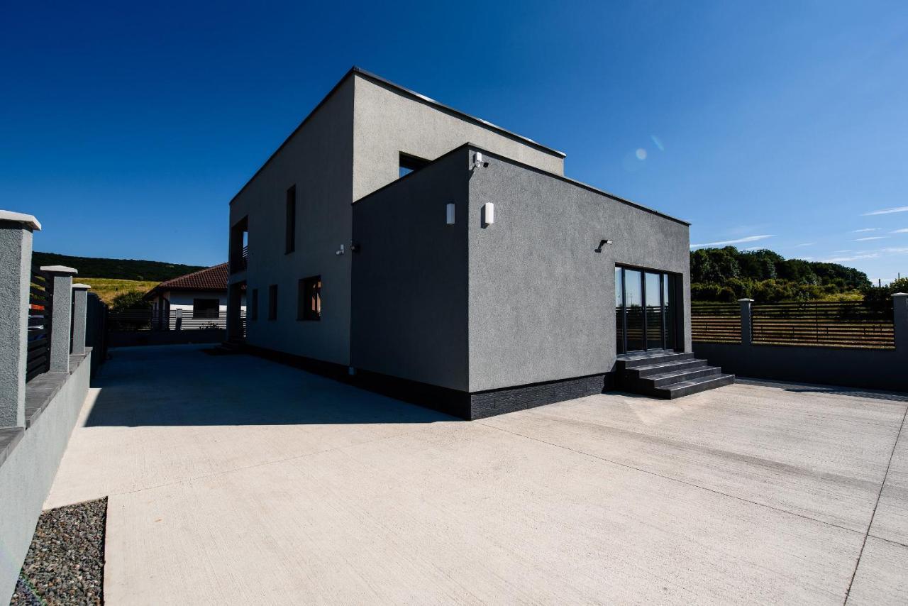 Concept Villa Livezeni  Εξωτερικό φωτογραφία